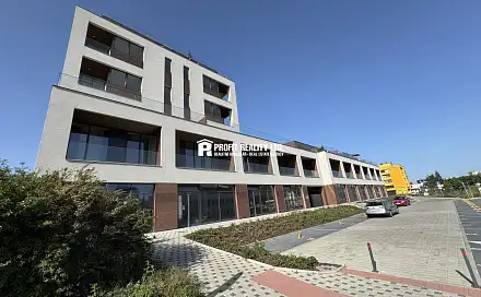 Pronájem bytu 1+kk 50 m²