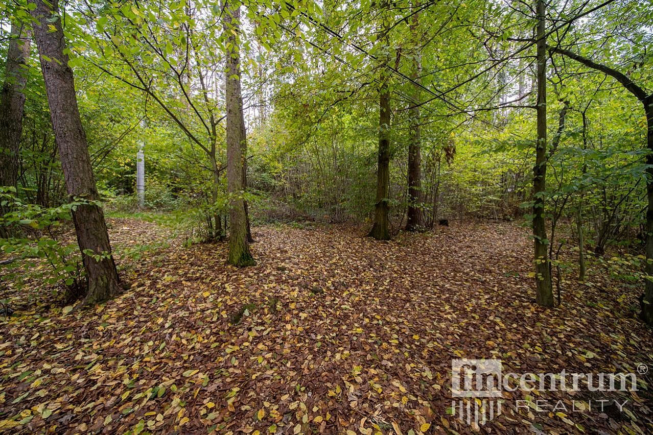 Prodej lesa 2 256 m² – fotografie 3