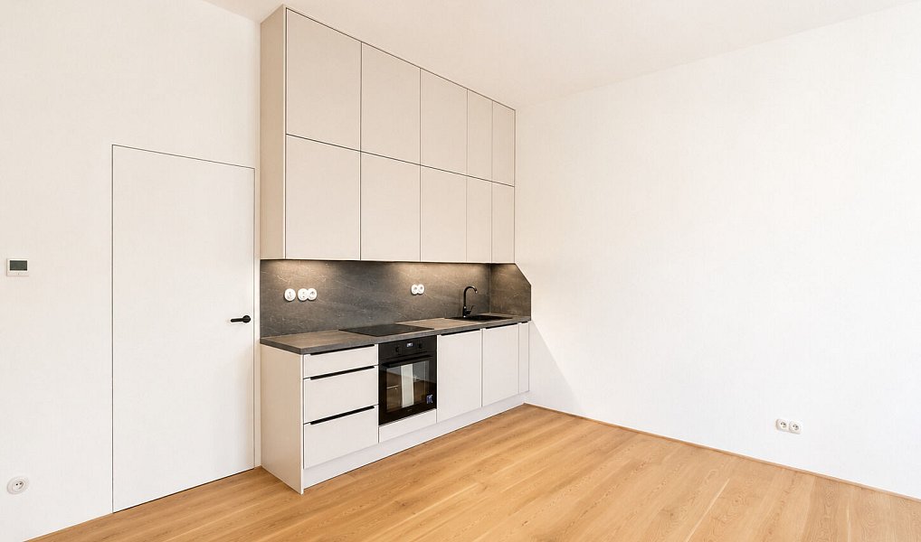 Pronájem bytu 1+kk 48 m², Jince – náhled fotky 4