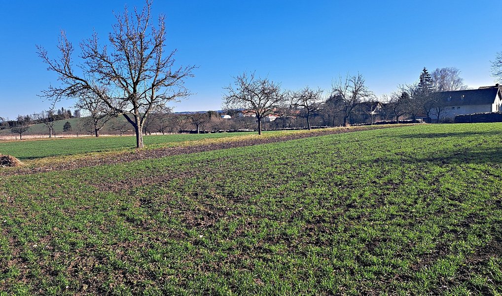 Prodej pole 4 979 m², Štěchov – náhled fotky 2