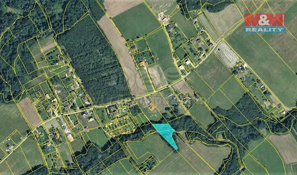Prodej lesa 3 156 m², Český Těšín – náhled fotky 4