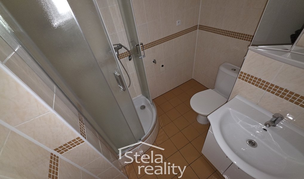 Pronájem bytu 1+1 44 m², Bruntál – náhled fotky 3