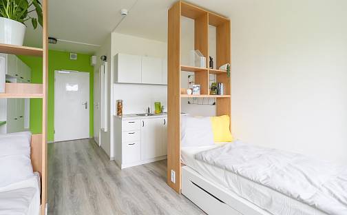 Pronájem bytu 1+kk 28 m², Děčínská, Praha 8 - Střížkov