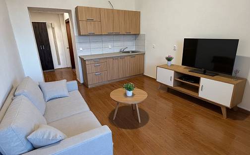 Pronájem bytu 1+kk 21 m², Prokopova, Plzeň - Jižní Předměstí
