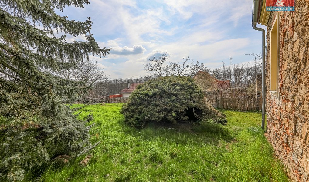 Prodej obchodních prostor 290 m², Nalžovice – náhled fotky 12