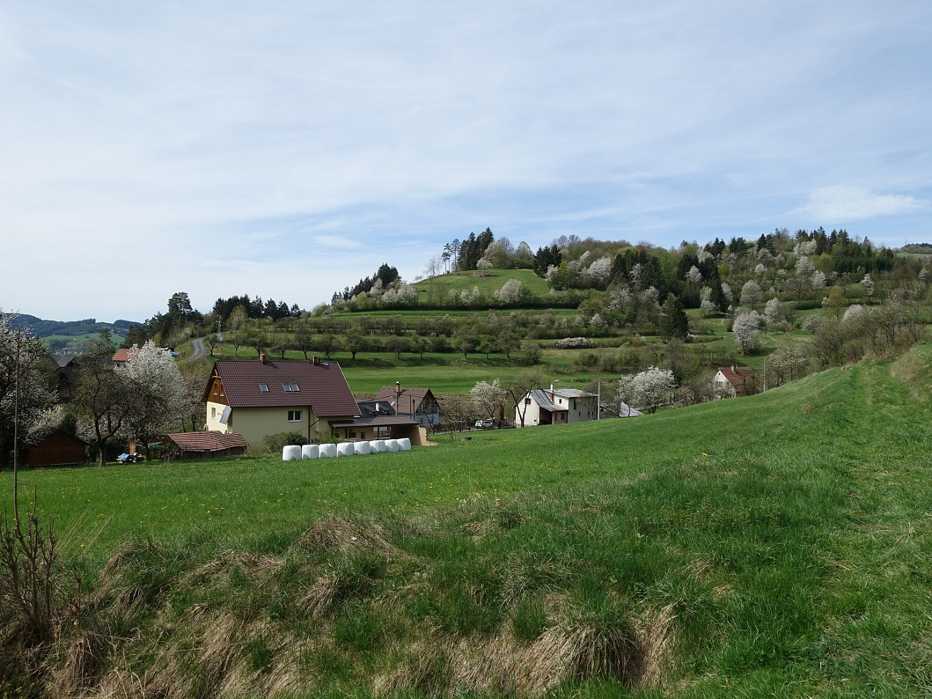 Prodej louky 7 095 m² — photo 2