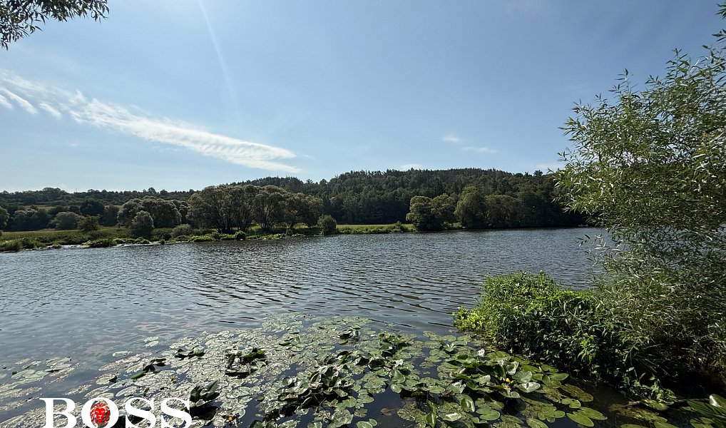Prodej komerčního pozemku 15 862 m², Slabce – náhled fotky 17