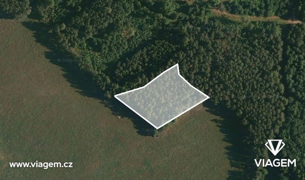 Prodej lesa 978 m², Čestice – náhled fotky 2