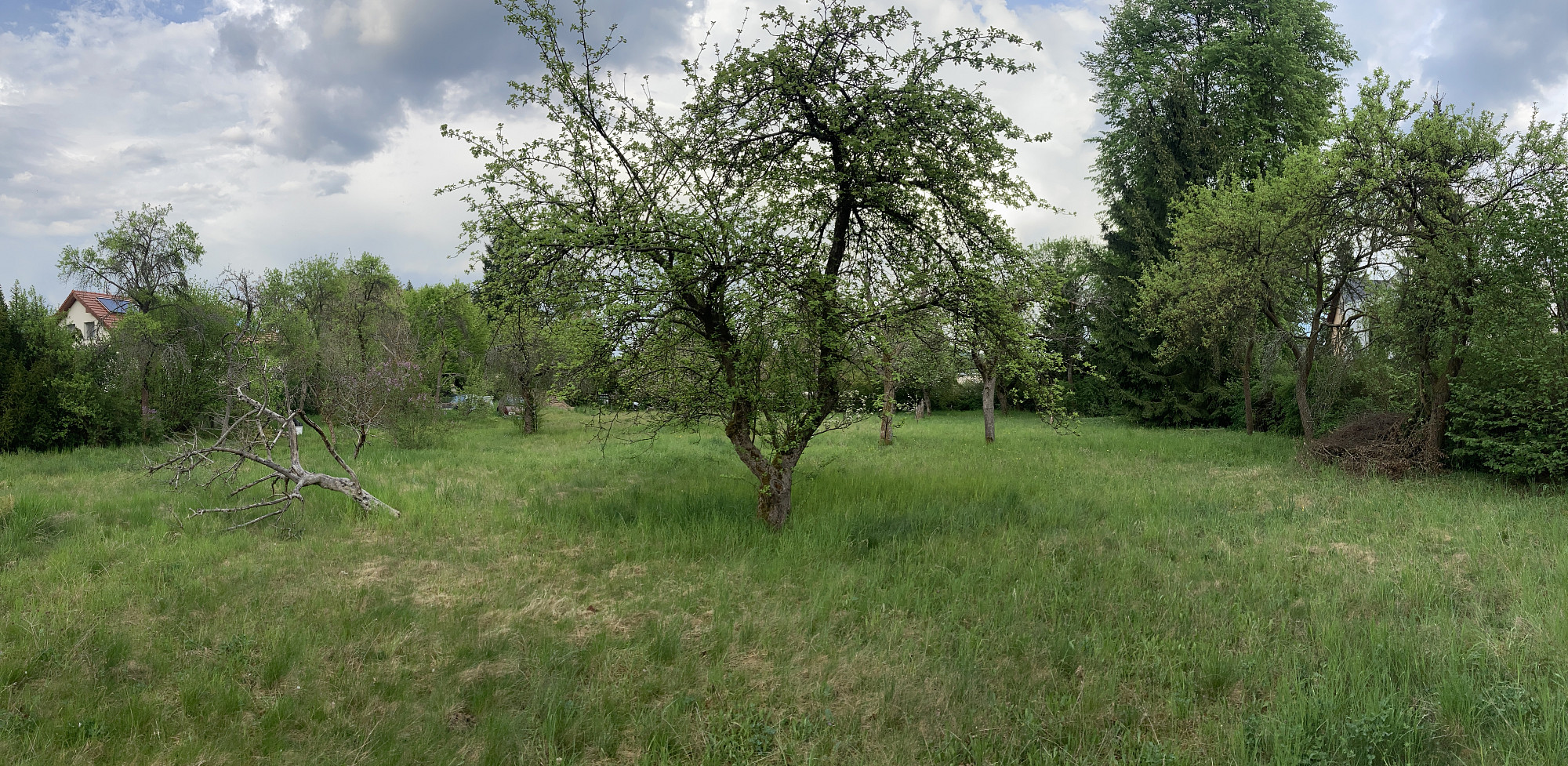 Prodej stavebního pozemku 3 120 m² – fotografie 2