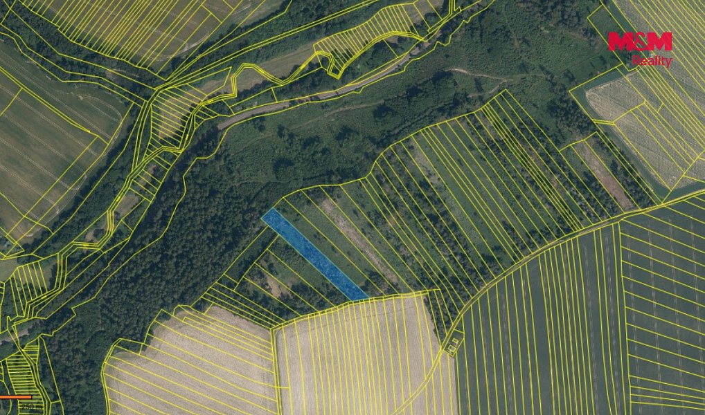Prodej lesa 4 377 m², Chlum – náhled fotky 3