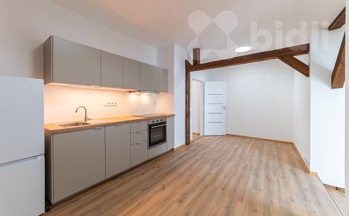 Pronájem bytu 1+1 48 m², Masarykovo nám., Vizovice, okres Zlín