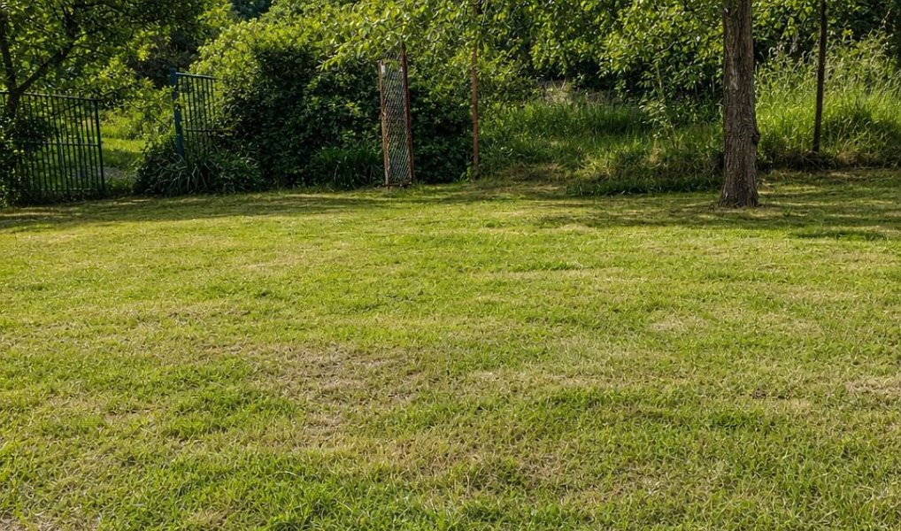 Prodej zahrady 500 m², Fulnek – náhled fotky 4