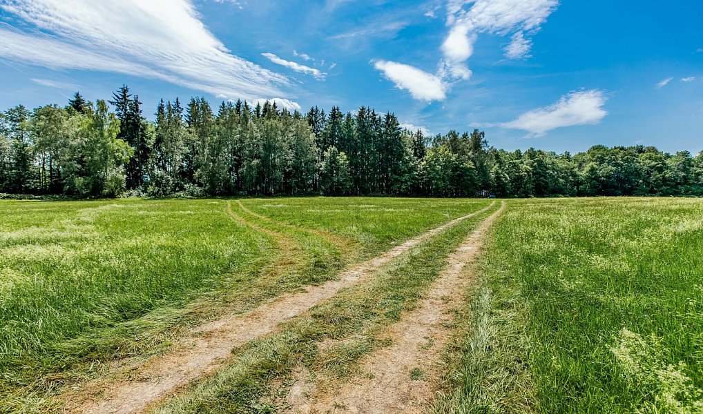 Prodej stavebního pozemku 1 000 m², Horní Planá – náhled fotky 6