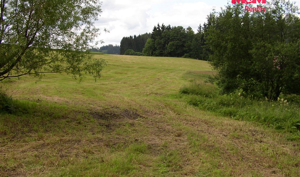 Prodej louky 4 214 m², Benecko – náhled fotky 2