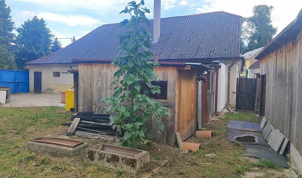Prodej domu 100 m² s pozemkem 610 m², Moravská Třebová – náhled fotky 13