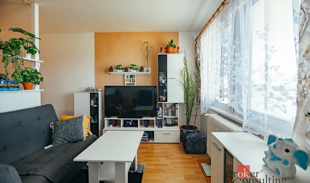 Prodej bytu 2+1 60 m², Opočno – náhled fotky 5