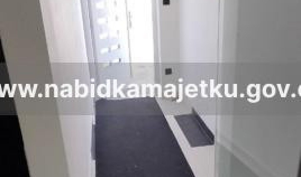 Prodej domu 767 m² s pozemkem 2 143 m², Drahňovice – náhled fotky 9
