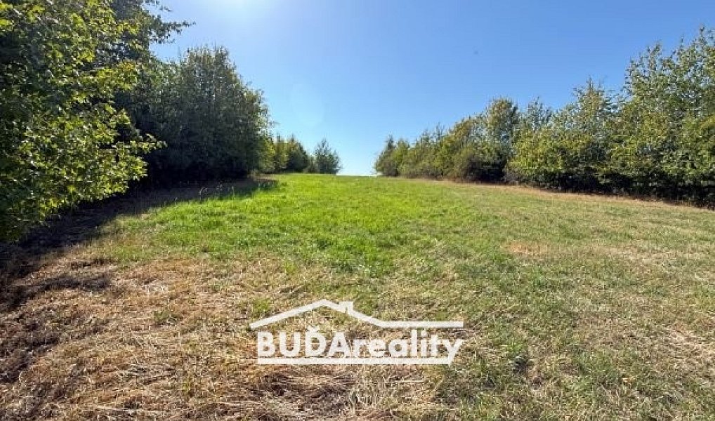 Prodej louky 3 374 m², Bratřejov – náhled fotky 2