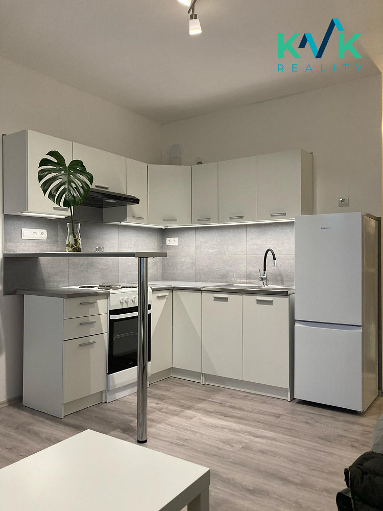 Pronájem bytu 1+kk 19 m² — photo 3