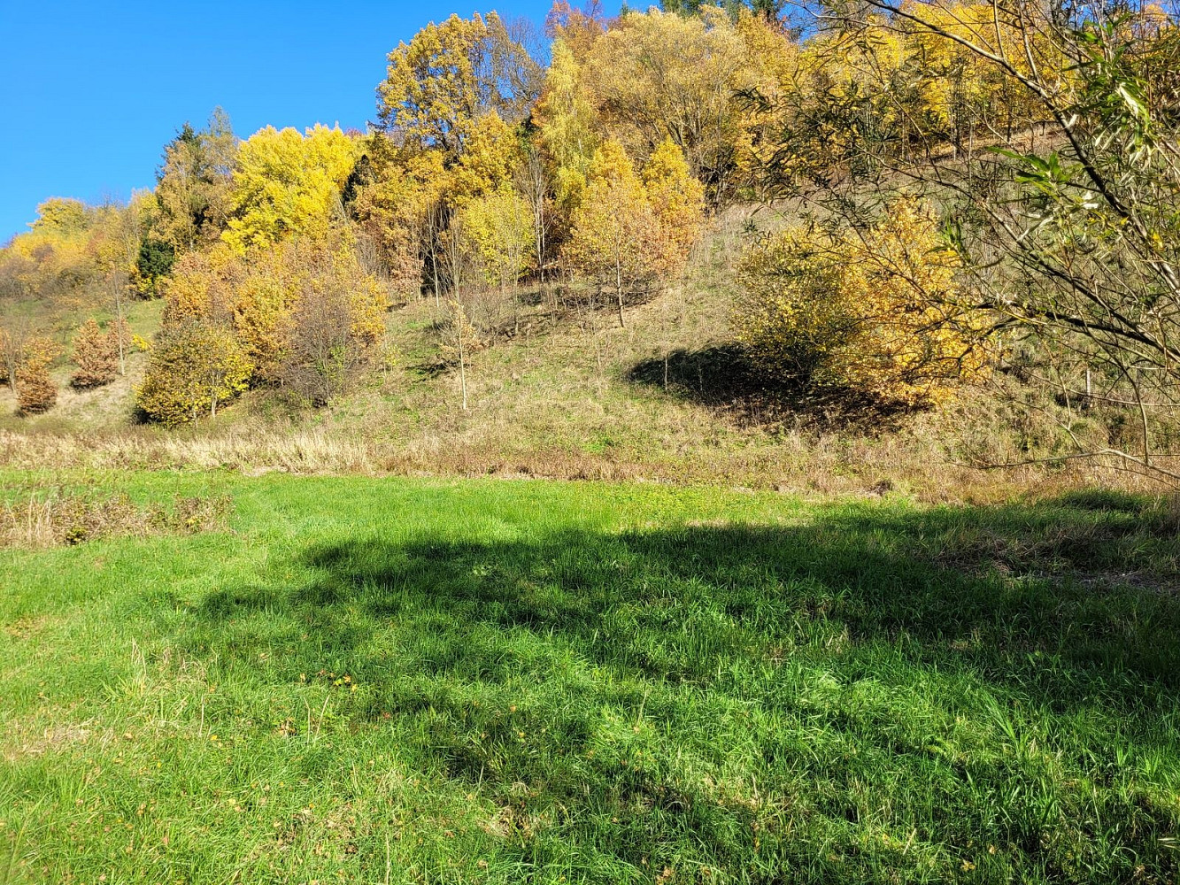 Prodej stavebního pozemku 4 496 m² – pohled 3