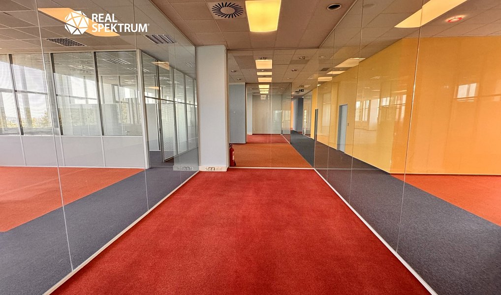 Pronájem kanceláře 313 m², Brno – náhled fotky 19
