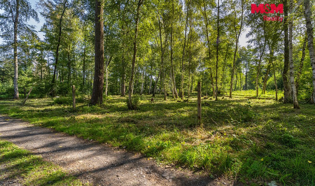 Prodej stavebního pozemku 3 825 m², Hradištko – náhled fotky 2