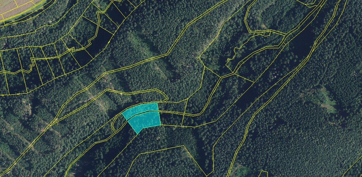 Prodej lesa 5 021 m² – pohled 3