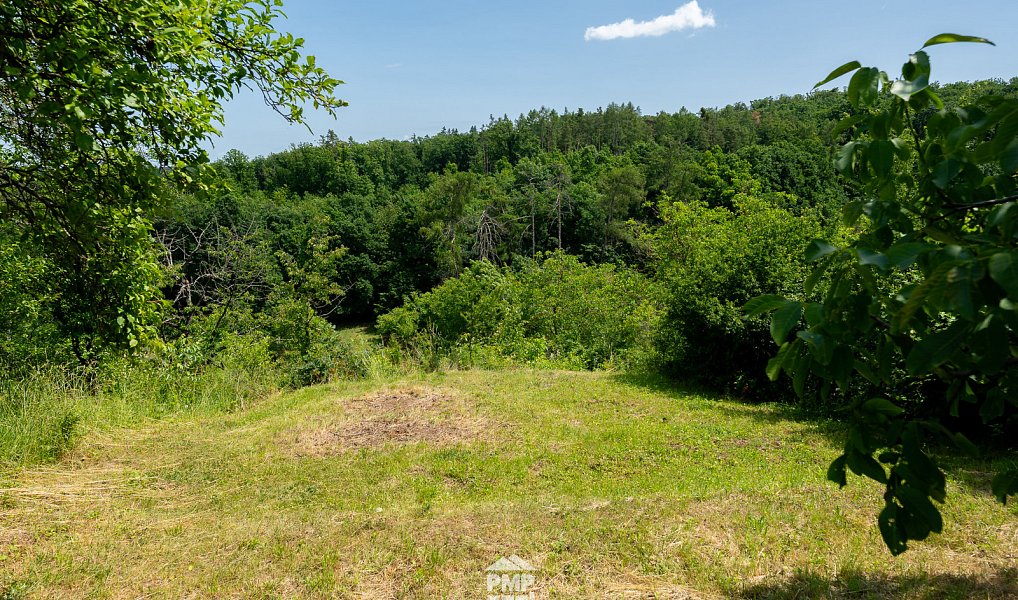 Prodej zahrady 931 m², Střelice – náhled fotky 17