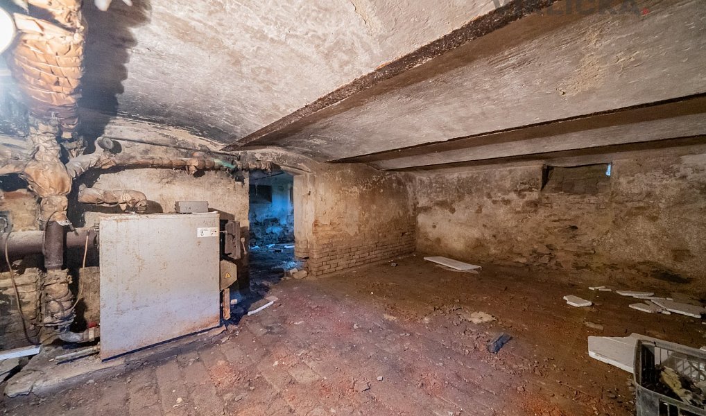Prodej chaty/chalupy 850 m² s pozemkem 7 749 m², Hostouň – náhled fotky 40