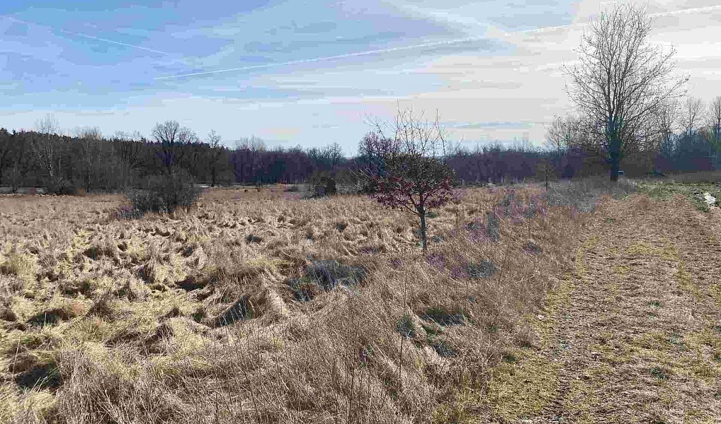 Prodej pole 15 408 m², Františkovy Lázně – náhled fotky 2