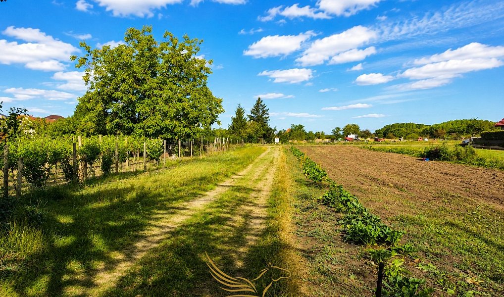 Prodej stavebního pozemku 943 m², Přísnotice – náhled fotky 5