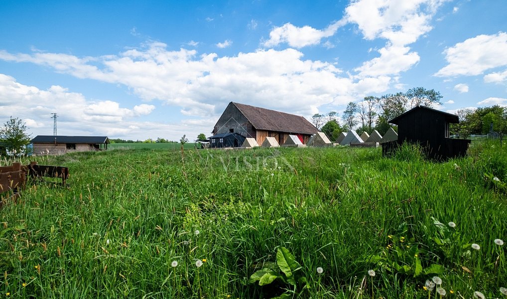 Prodej komerčního objektu (jiného typu) 350 m², Bystřice – náhled fotky 16
