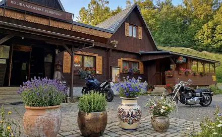 Prodej komerčního objektu (jiného typu) 467 m², Brumovská, Valašské Klobouky, okres Zlín