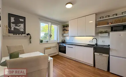 Prodej bytu 1+1 28 m², Ztracená, Přerov - Přerov I-Město