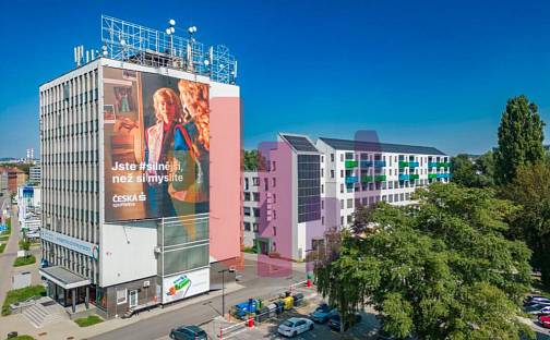 Pronájem kanceláře 66 m², Svatopetrská, Brno - Komárov