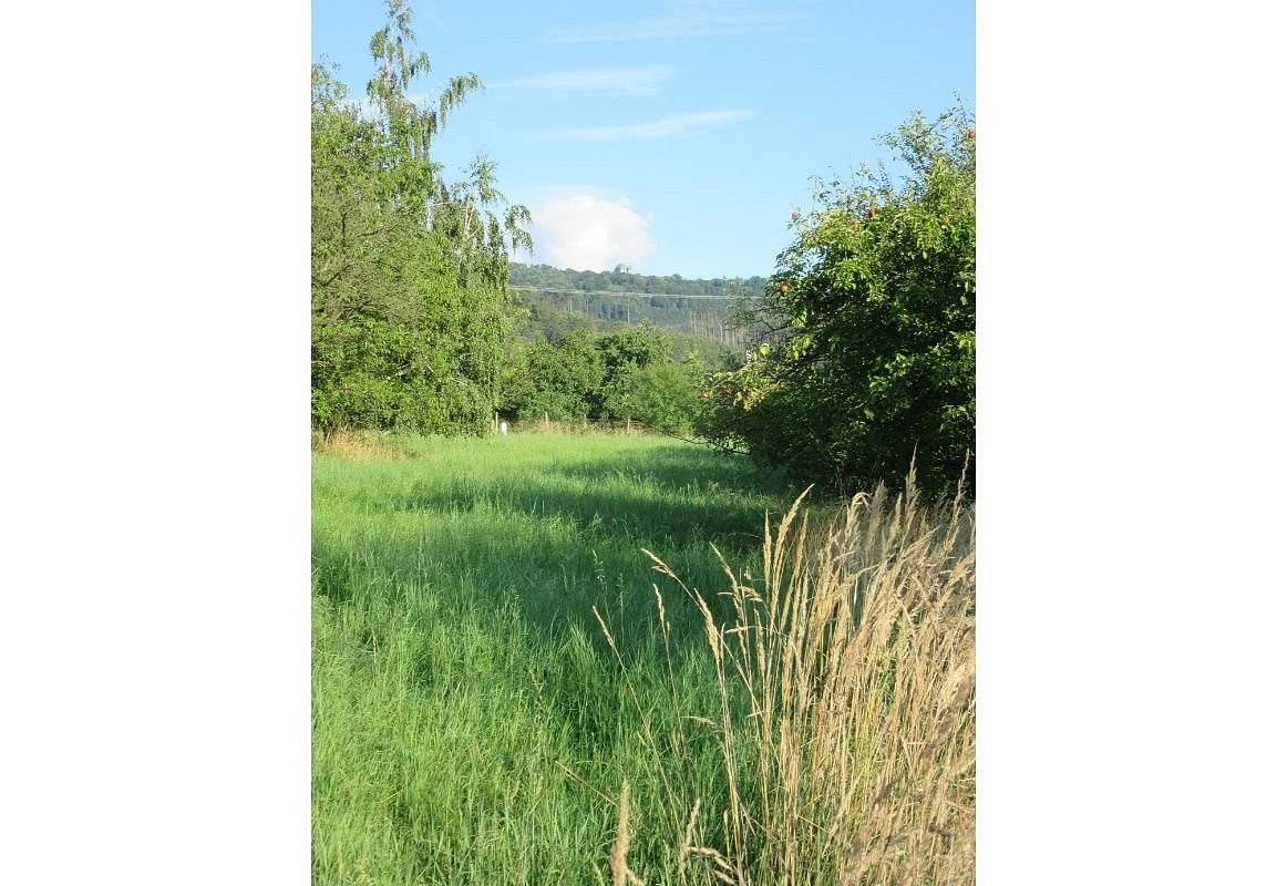 Prodej pole 6 057 m² – fotografie 2