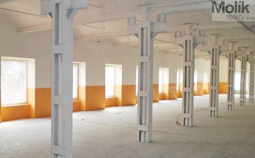 Pronájem skladovacích prostor 250 m², Teplická, Děčín - Děčín IX-Bynov