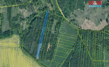 Prodej lesa 12 669 m², Jetětice, okres Písek