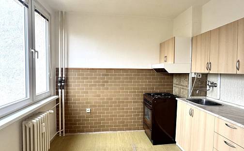 Pronájem bytu 2+1 53 m², nábřeží Závodu míru, Pardubice - Zelené Předměstí