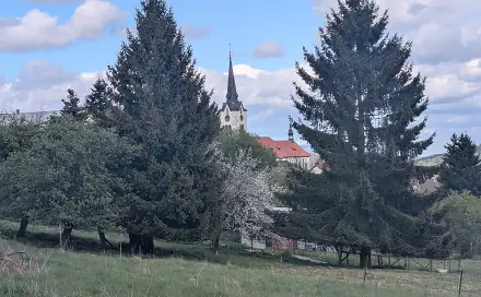 Prodej stavebního pozemku 1 155 m², Hořice na Šumavě, okres Český Krumlov