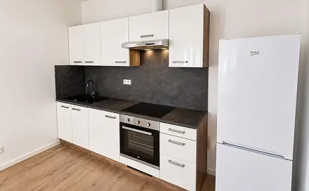 Pronájem bytu 2+kk 43 m², Františka Halase, Most