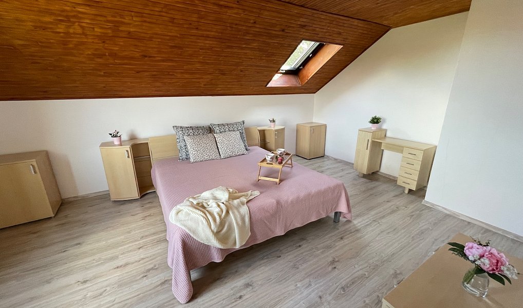 Pronájem domu 230 m² s pozemkem 601 m², Bříšťany – náhled fotky 18