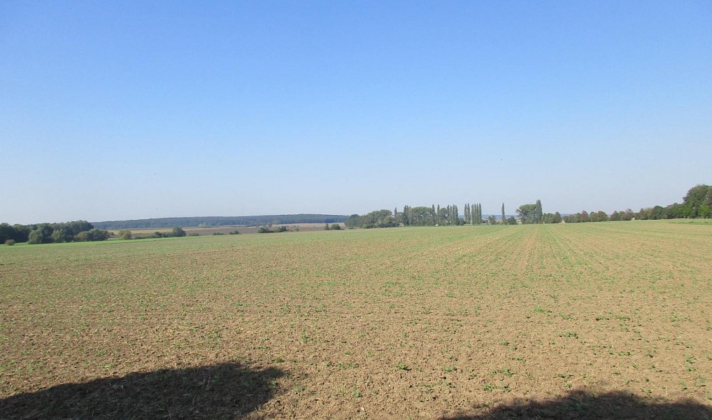 Prodej pole 7 913 m², Obecnice – náhled fotky 2