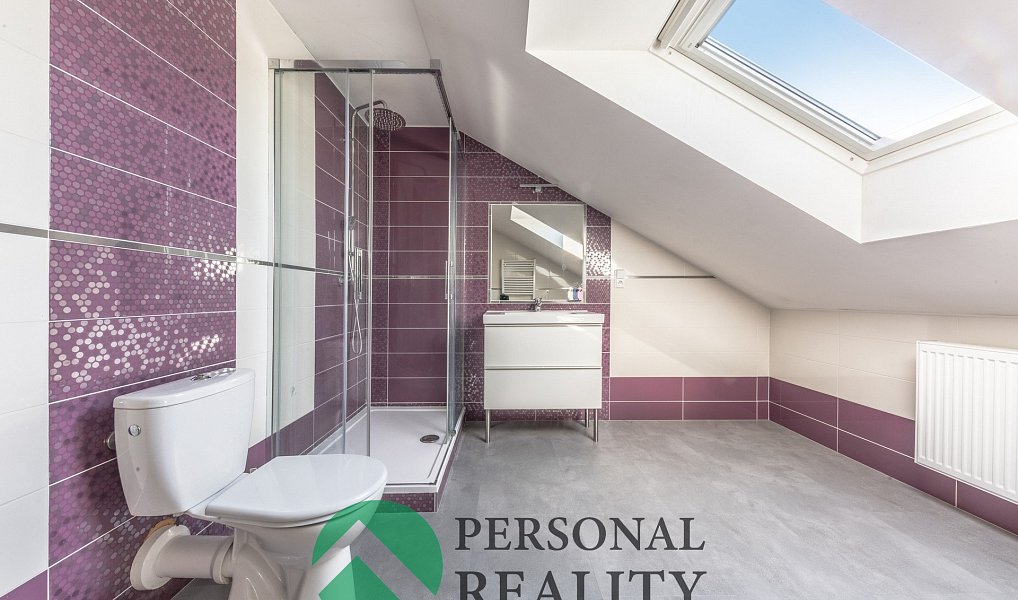 Prodej domu 174 m² s pozemkem 1 000 m², Velký Borek – náhled fotky 11