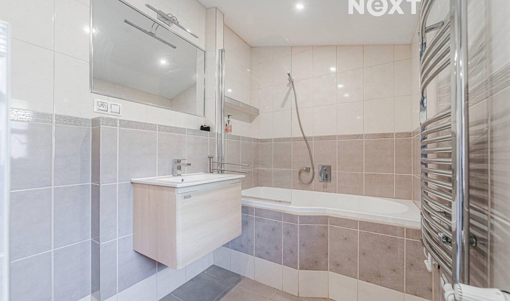 Prodej domu 300 m² s pozemkem 1 100 m², Hlučín – náhled fotky 9