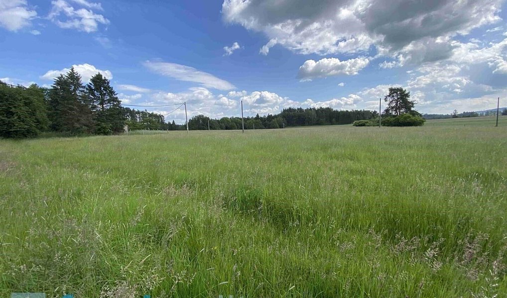 Prodej stavebního pozemku 1 400 m², Planá – náhled fotky 4