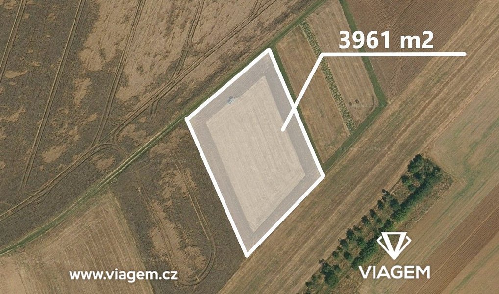 Prodej pole 3 961 m², Blížkovice – náhled fotky 3