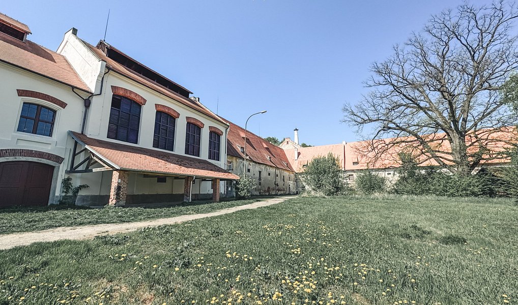 Prodej komerčního objektu (jiného typu) 10 232 m², Netolice – náhled fotky 6