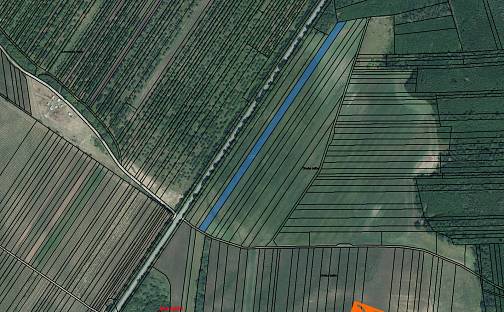 Prodej pole 1 200 m², Hlohovec, okres Břeclav
