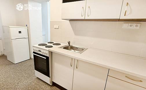 Pronájem bytu 1+1 46 m², Štefánikova, Brno - Ponava